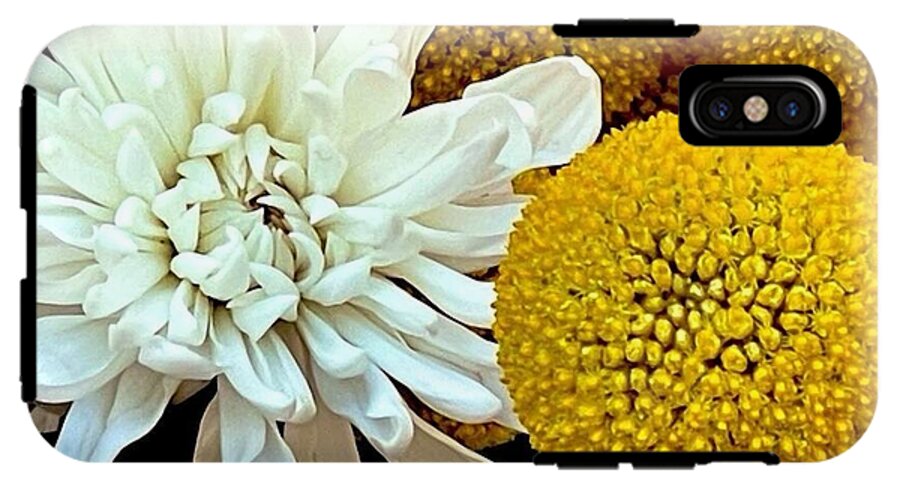 Chrysanthemum and Yellow Spheres - Phone Case