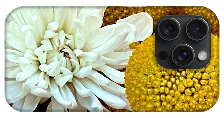 Chrysanthemum and Yellow Spheres - Phone Case