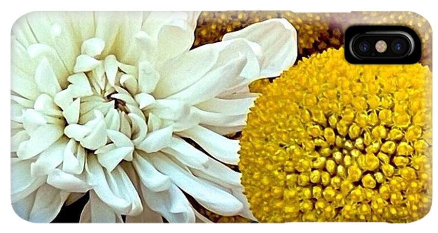 Chrysanthemum and Yellow Spheres - Phone Case