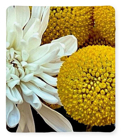 Chrysanthemum and Yellow Spheres - Blanket