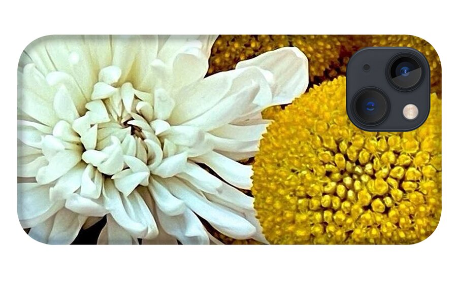 Chrysanthemum and Yellow Spheres - Phone Case