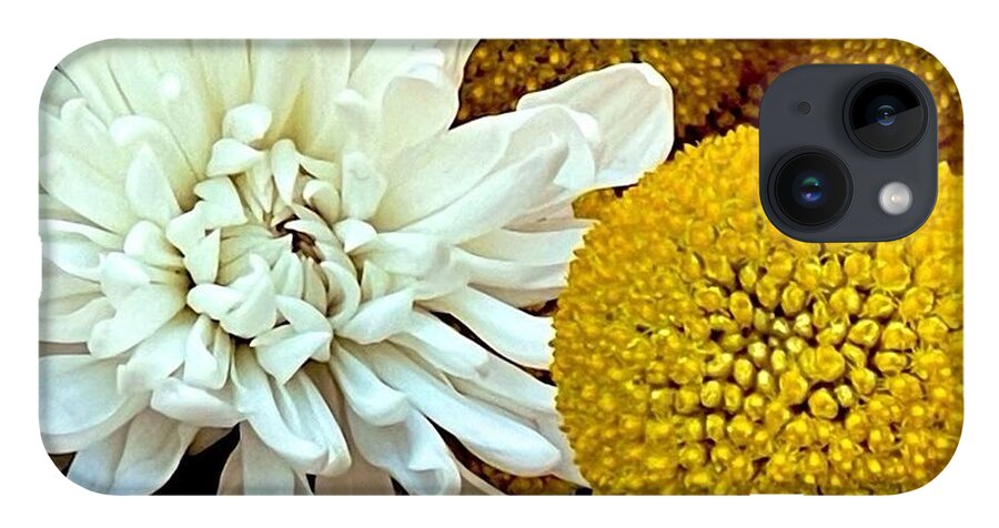 Chrysanthemum and Yellow Spheres - Phone Case