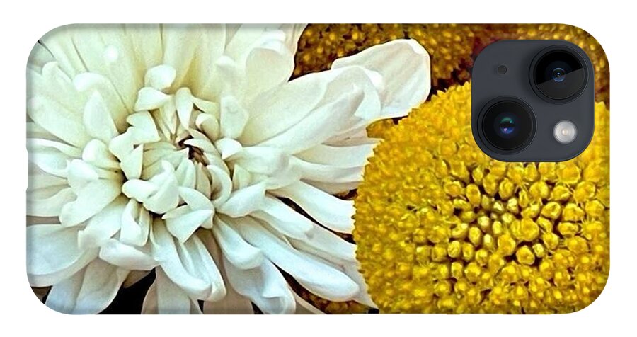 Chrysanthemum and Yellow Spheres - Phone Case