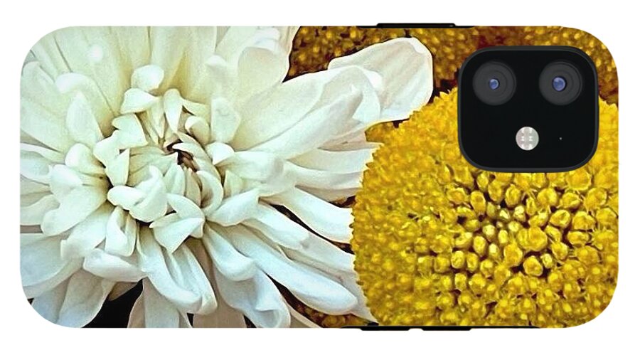 Chrysanthemum and Yellow Spheres - Phone Case