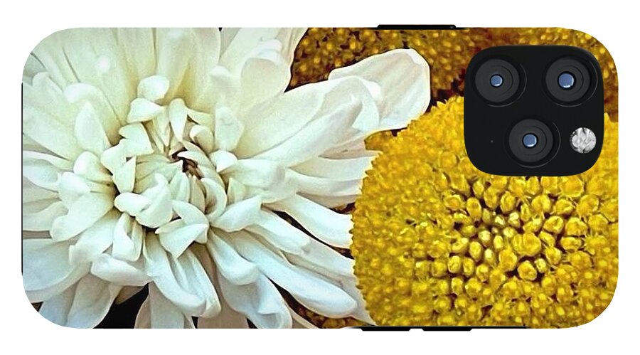Chrysanthemum and Yellow Spheres - Phone Case