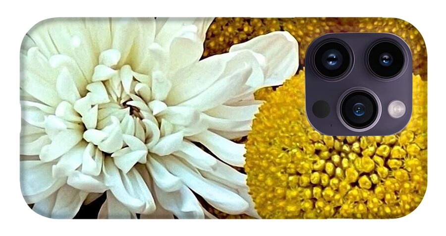 Chrysanthemum and Yellow Spheres - Phone Case