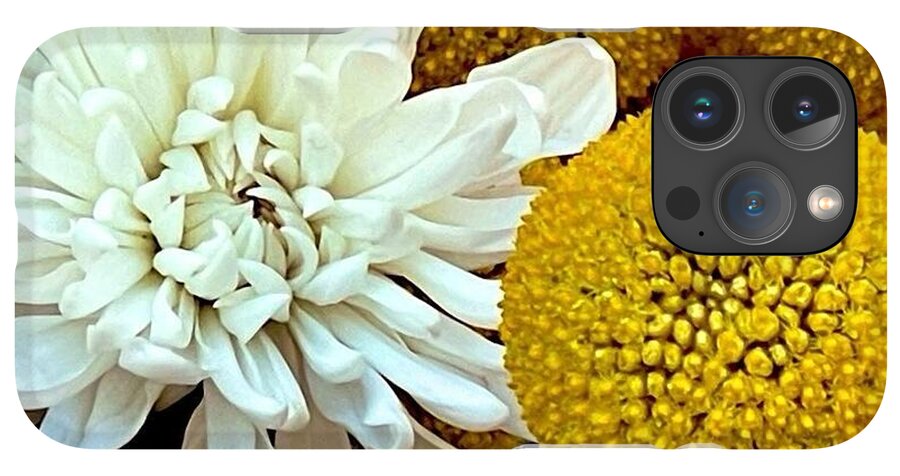 Chrysanthemum and Yellow Spheres - Phone Case