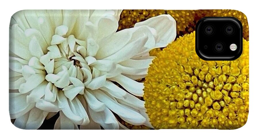 Chrysanthemum and Yellow Spheres - Phone Case