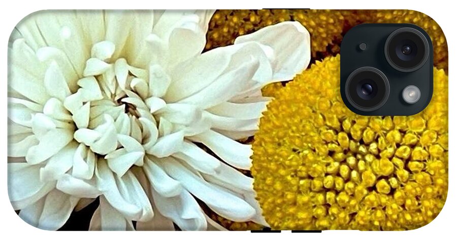 Chrysanthemum and Yellow Spheres - Phone Case