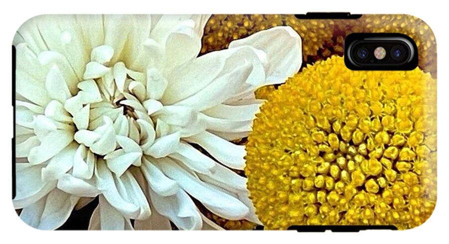 Chrysanthemum and Yellow Spheres - Phone Case