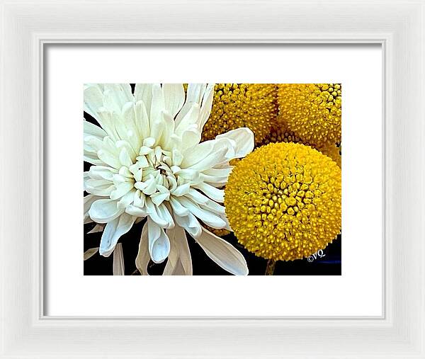 Chrysanthemum and Yellow Spheres - Framed Print