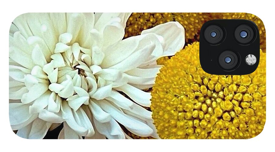 Chrysanthemum and Yellow Spheres - Phone Case