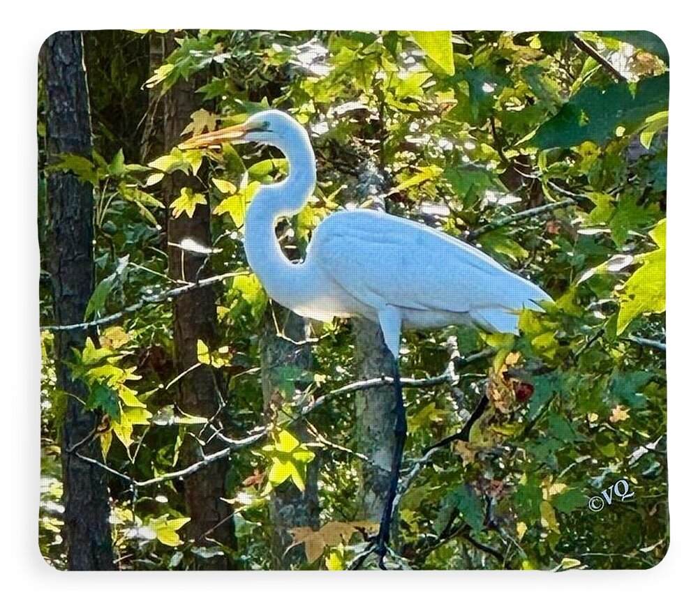 Egret Posing Among Lush Foliage - Blanket