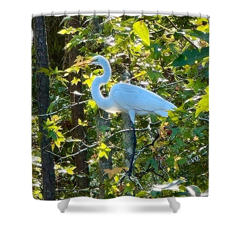 Egret Posing Among Lush Foliage - Shower Curtain