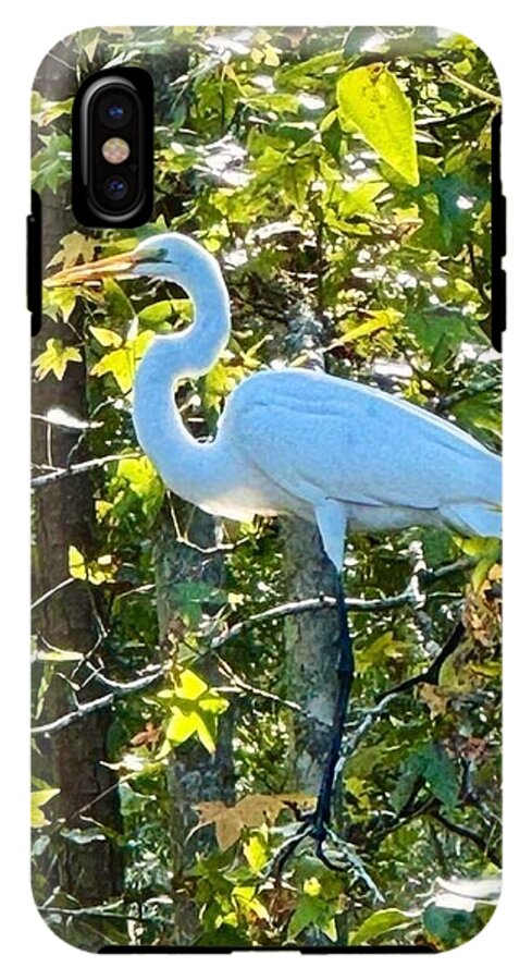 Egret Posing Among Lush Foliage - Phone Case