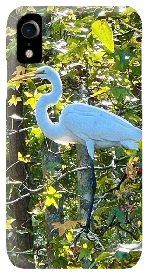 Egret Posing Among Lush Foliage - Phone Case