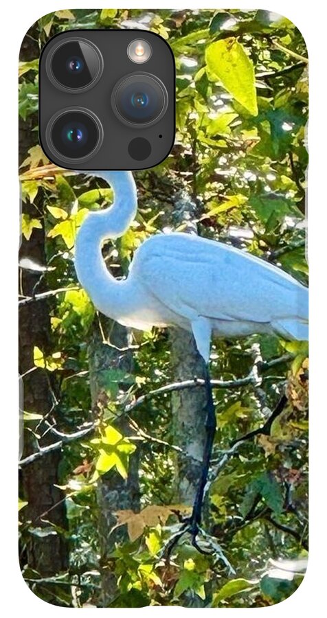 Egret Posing Among Lush Foliage - Phone Case