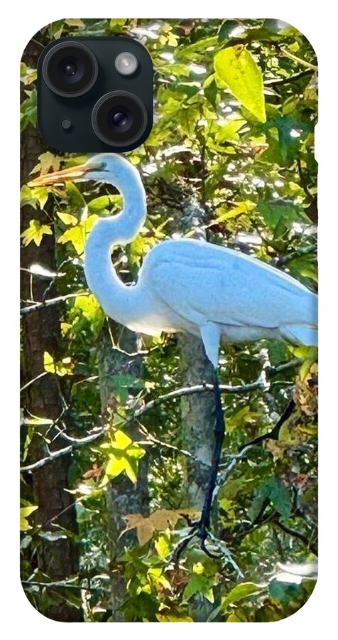 Egret Posing Among Lush Foliage - Phone Case