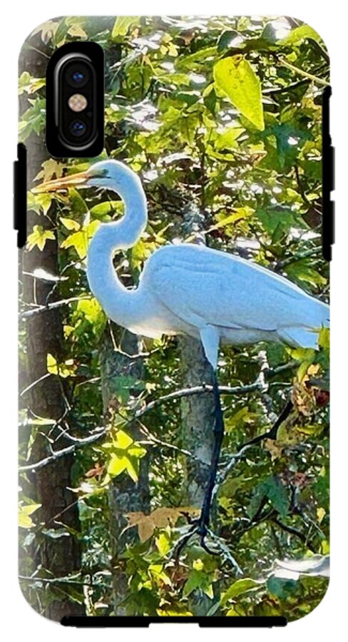 Egret Posing Among Lush Foliage - Phone Case