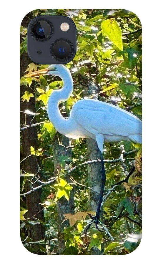Egret Posing Among Lush Foliage - Phone Case