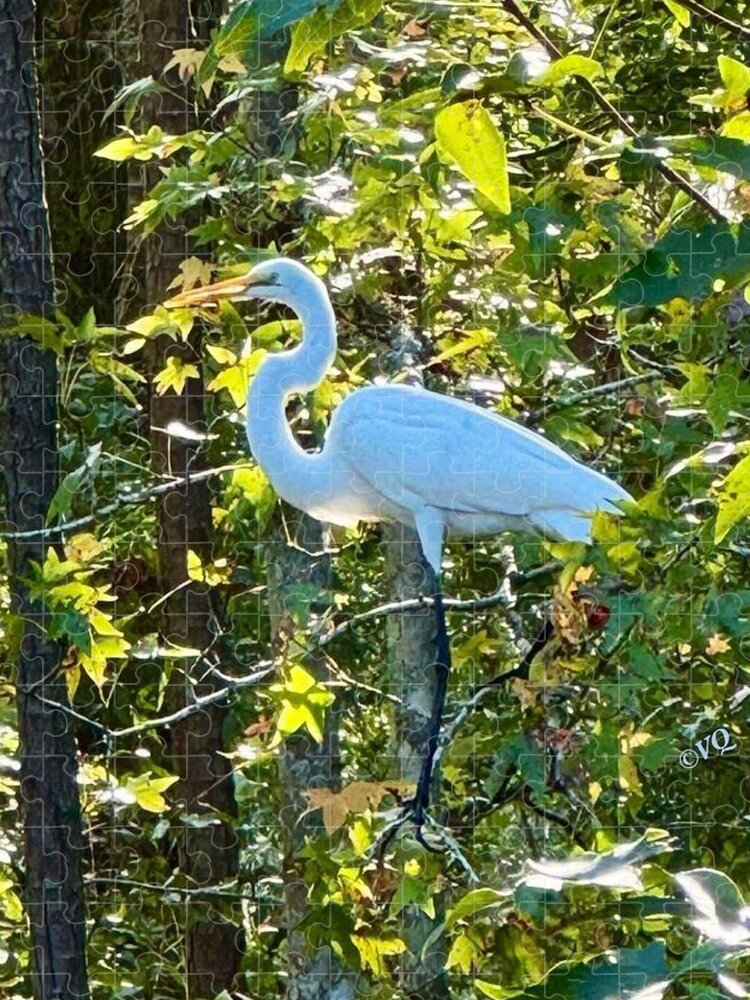 Egret Posing Among Lush Foliage - Puzzle