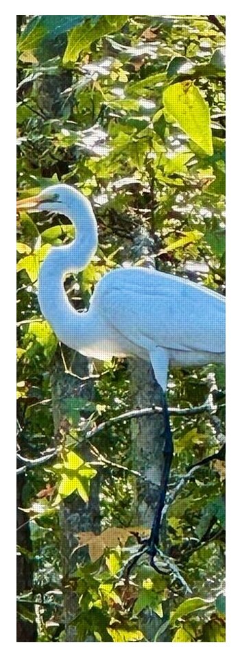 Egret Posing Among Lush Foliage - Yoga Mat