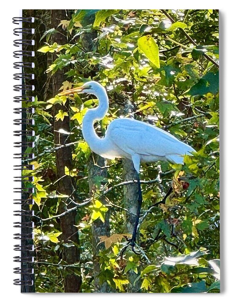Egret Posing Among Lush Foliage - Spiral Notebook