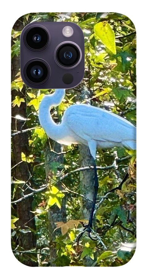 Egret Posing Among Lush Foliage - Phone Case