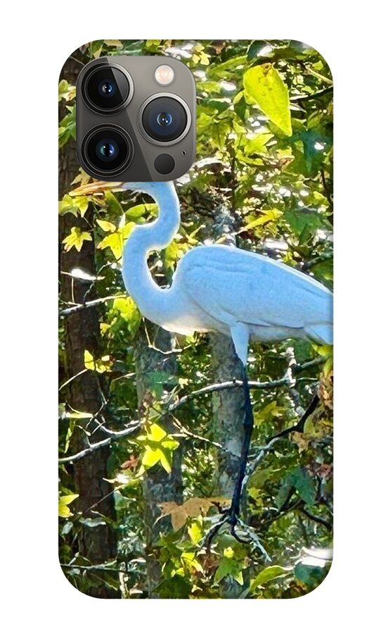 Egret Posing Among Lush Foliage - Phone Case