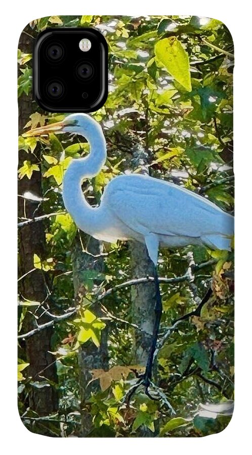Egret Posing Among Lush Foliage - Phone Case