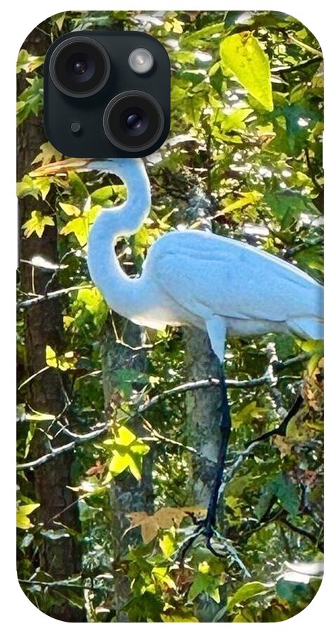 Egret Posing Among Lush Foliage - Phone Case