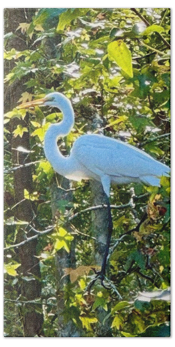 Egret Posing Among Lush Foliage - Beach Towel