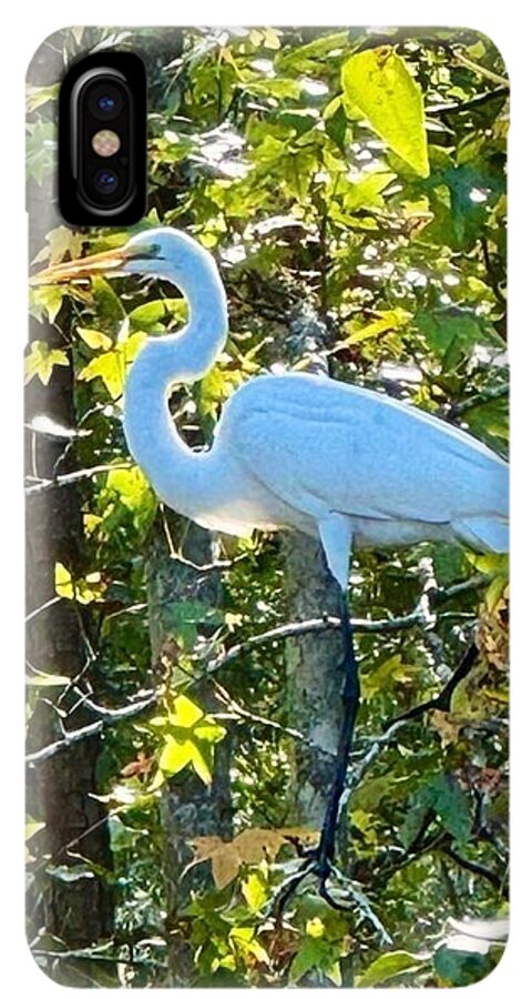 Egret Posing Among Lush Foliage - Phone Case