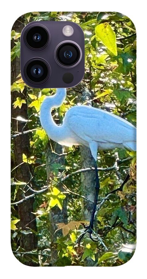 Egret Posing Among Lush Foliage - Phone Case