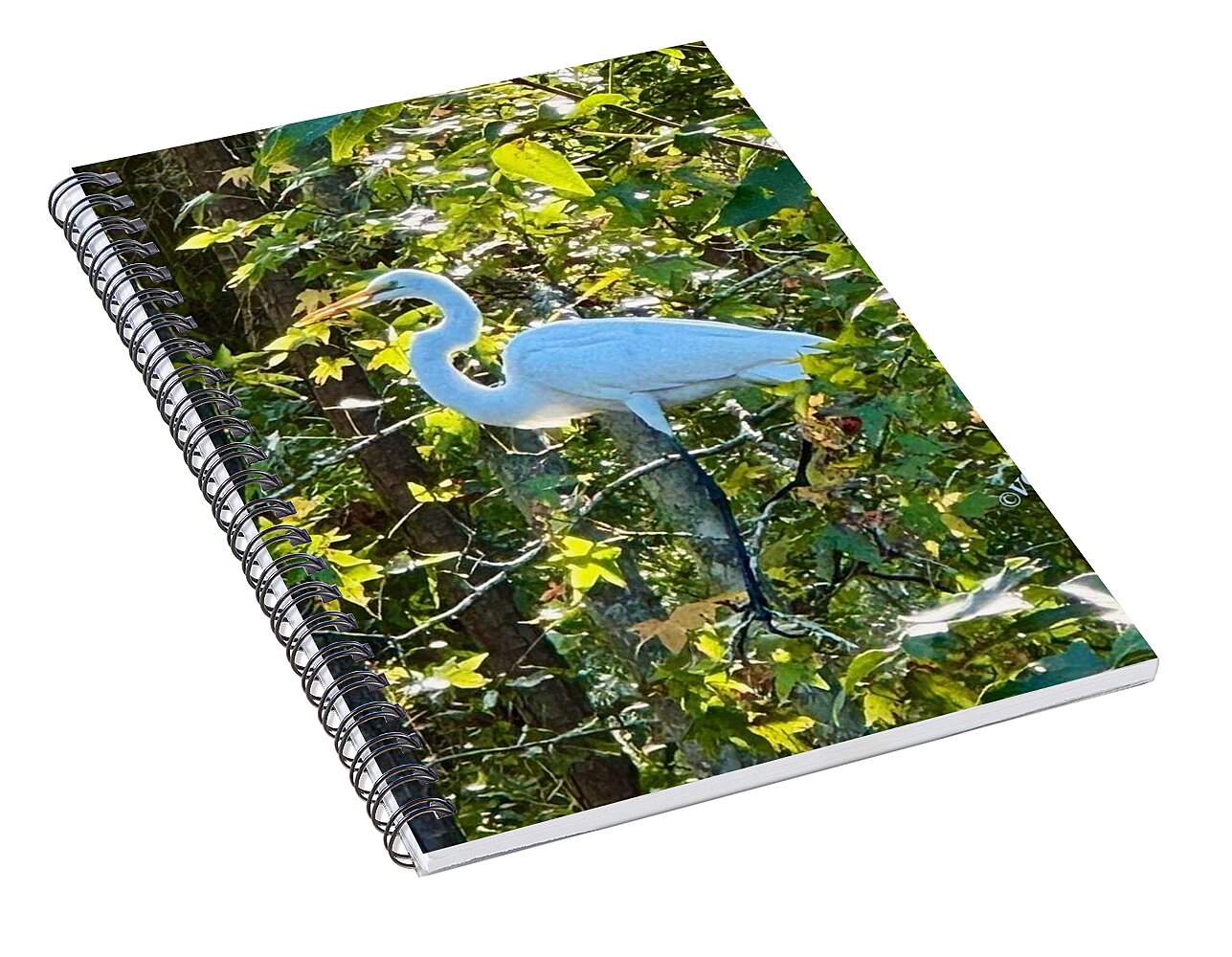 Egret Posing Among Lush Foliage - Spiral Notebook