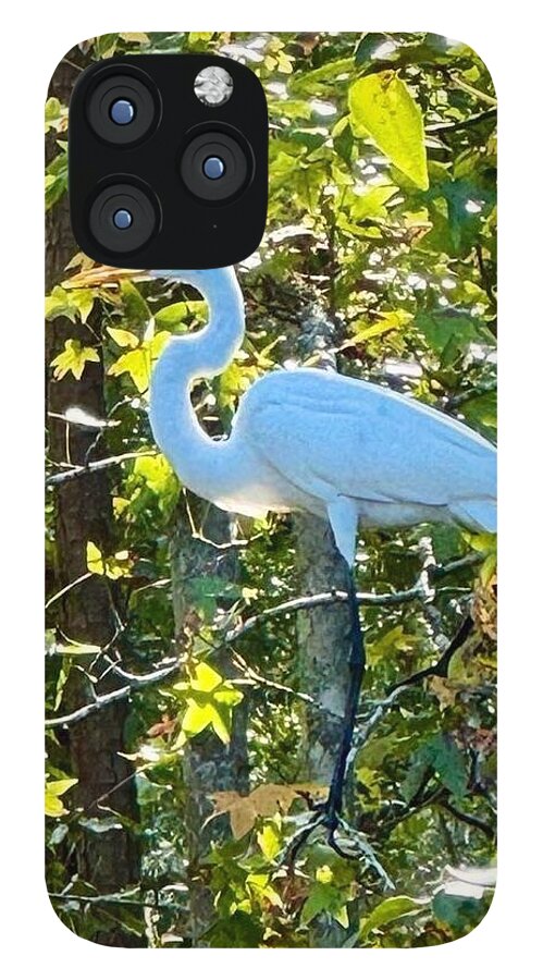 Egret Posing Among Lush Foliage - Phone Case