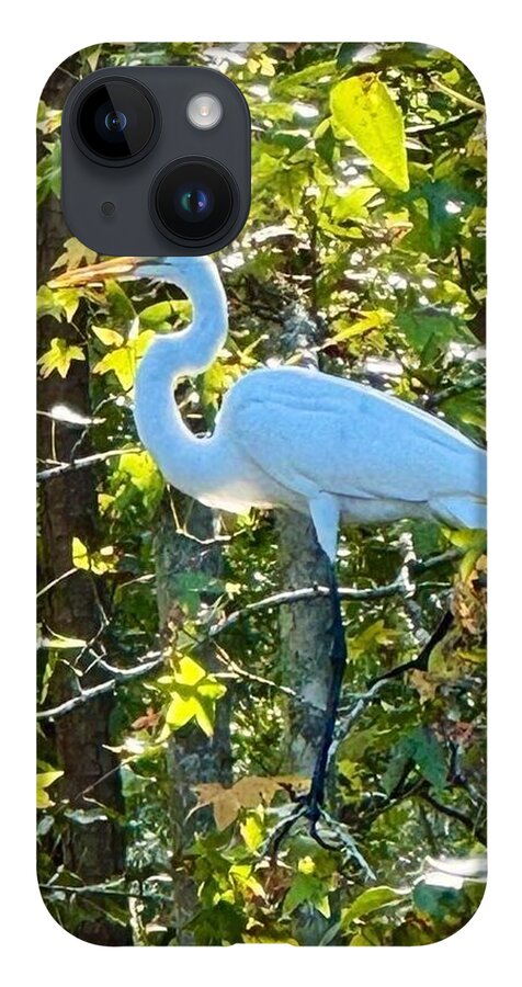 Egret Posing Among Lush Foliage - Phone Case