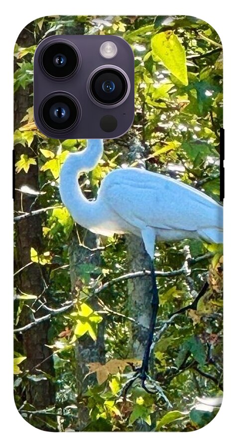 Egret Posing Among Lush Foliage - Phone Case