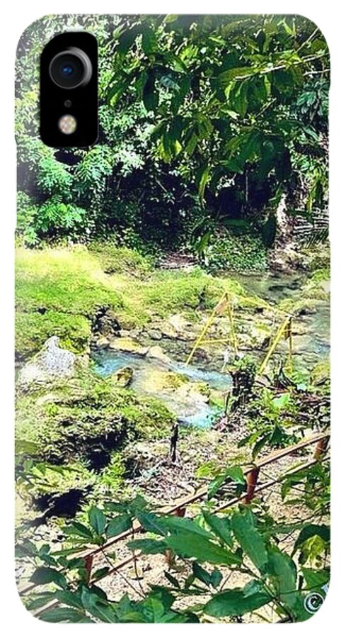 Lush Jungle Stream - Phone Case