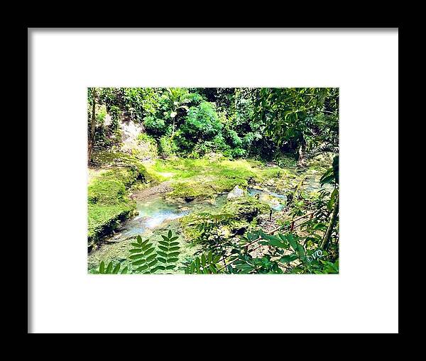Lush Jungle Stream - Framed Print