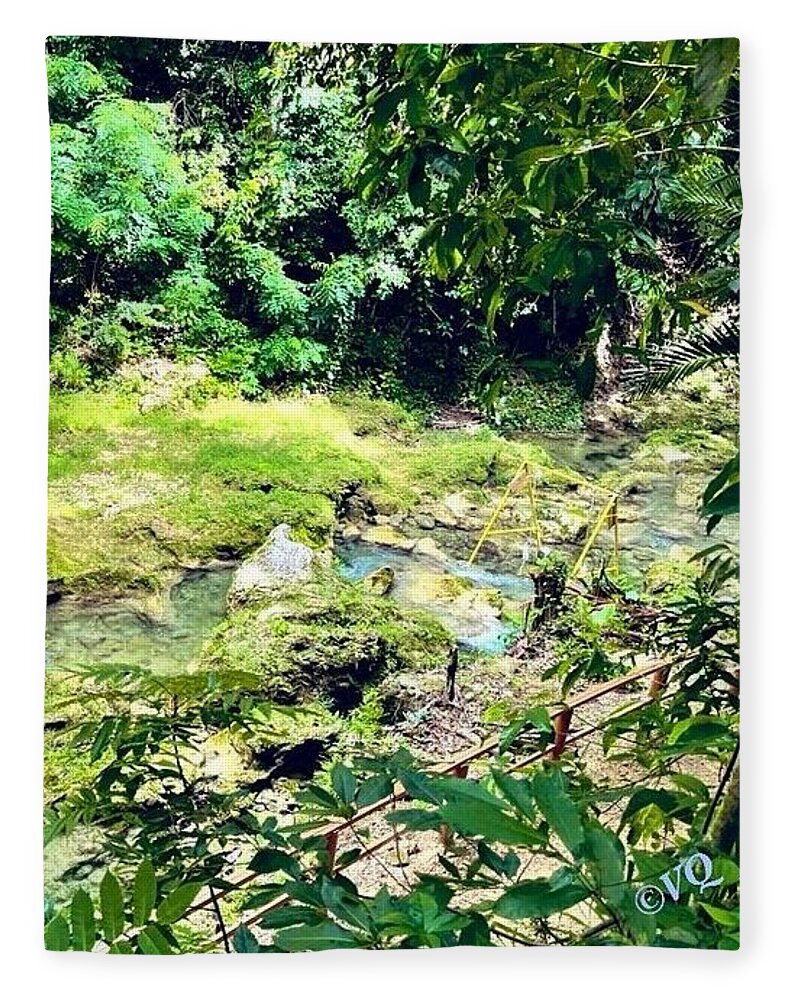 Lush Jungle Stream - Blanket