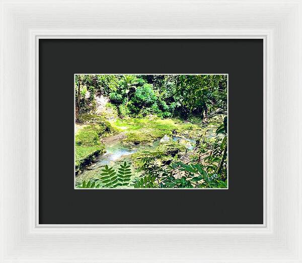 Lush Jungle Stream - Framed Print