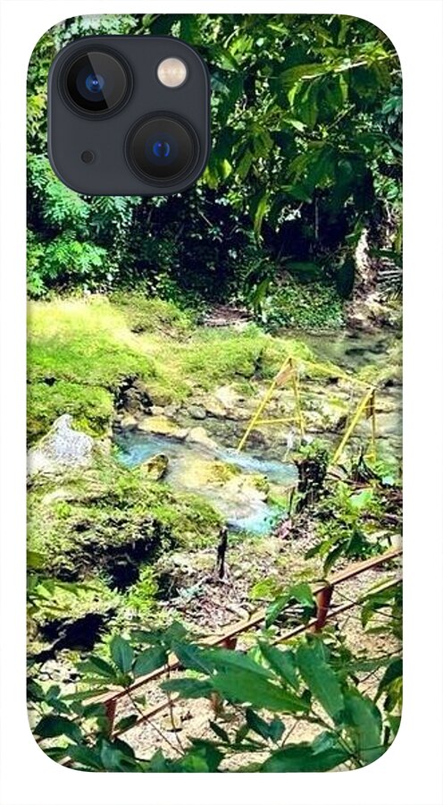 Lush Jungle Stream - Phone Case