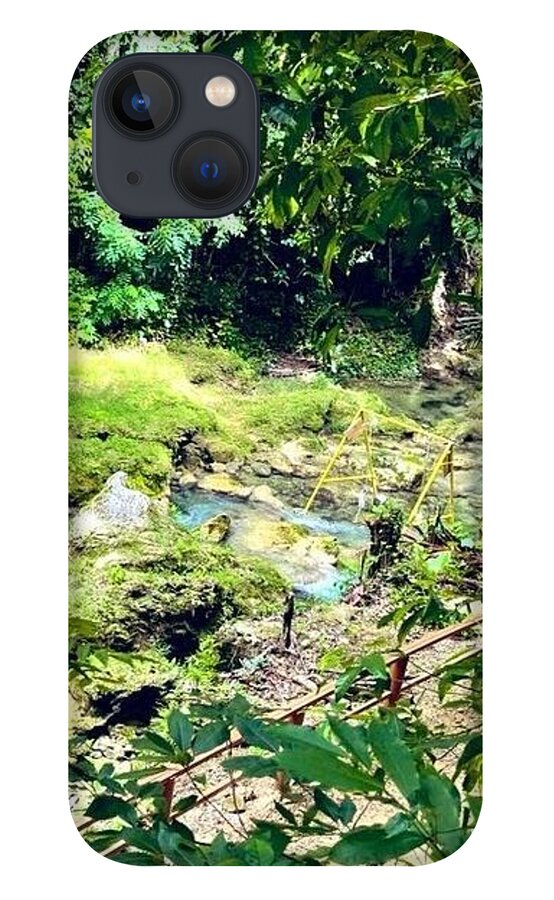Lush Jungle Stream - Phone Case
