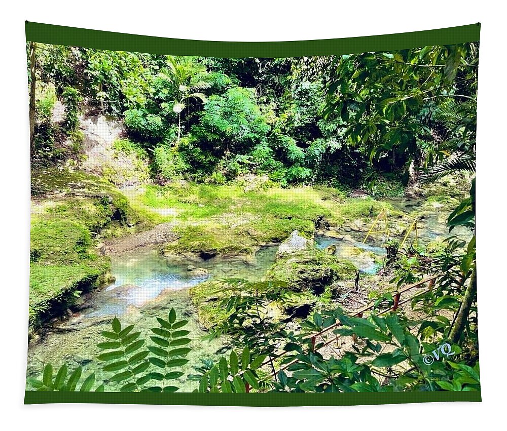 Lush Jungle Stream - Tapestry