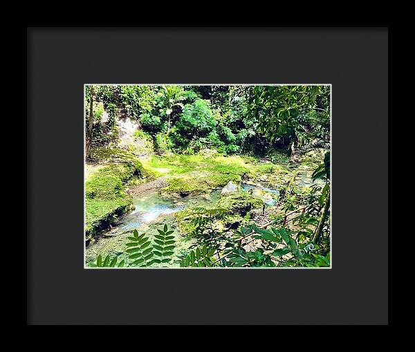 Lush Jungle Stream - Framed Print