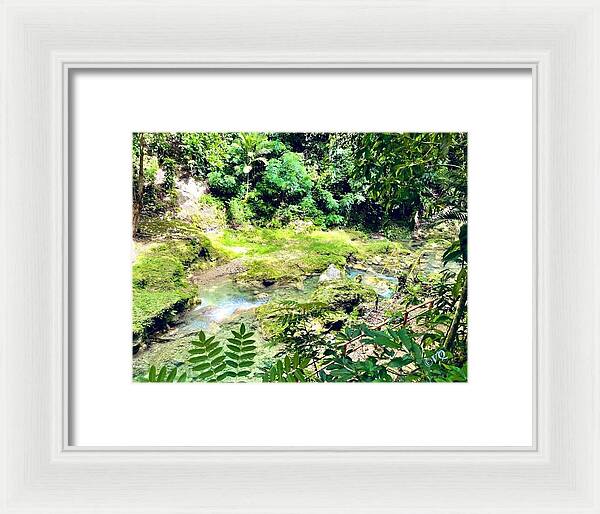 Lush Jungle Stream - Framed Print