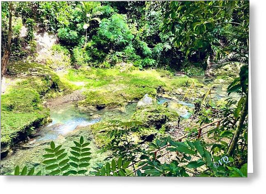 Lush Jungle Stream - Greeting Card