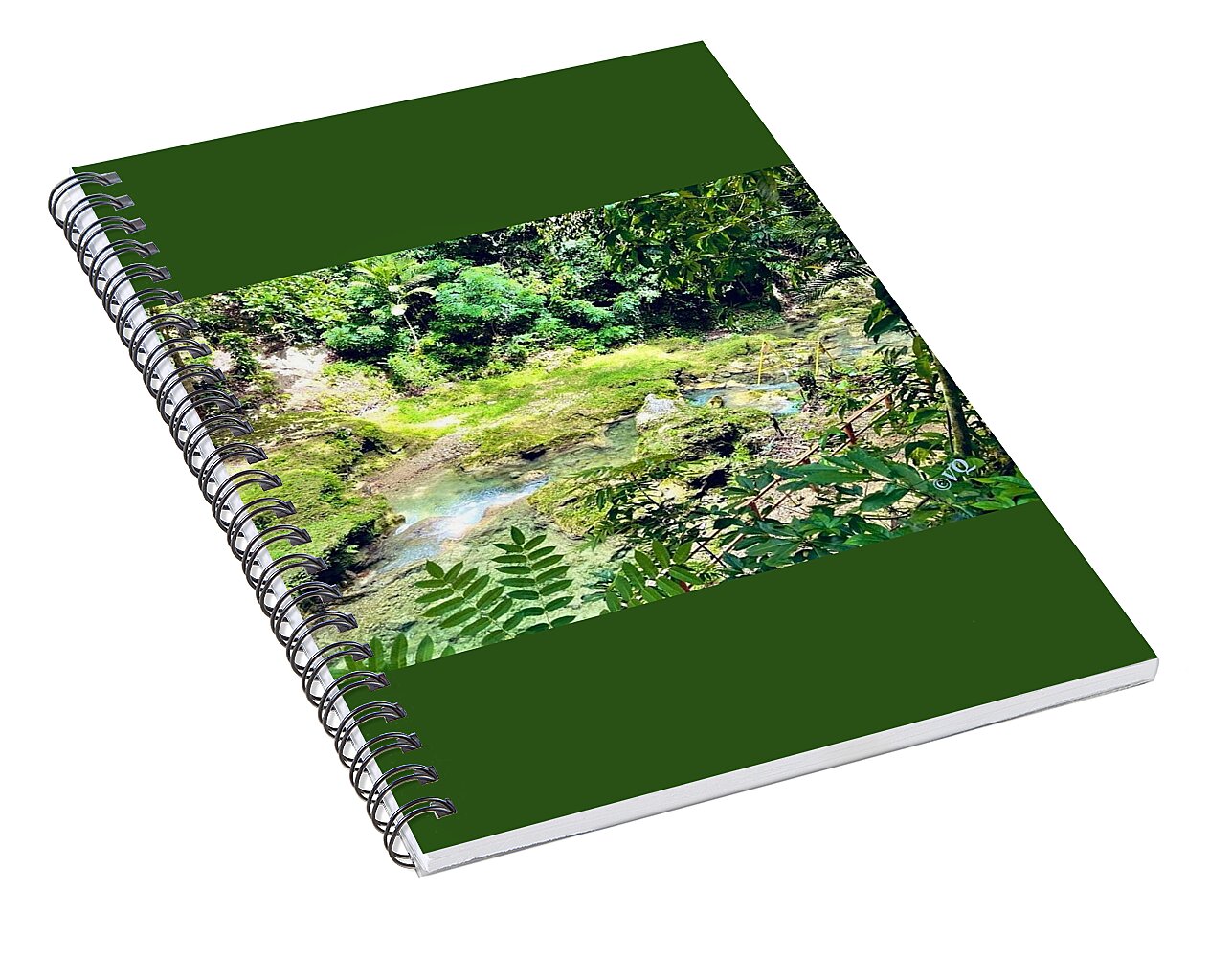 Lush Jungle Stream - Spiral Notebook
