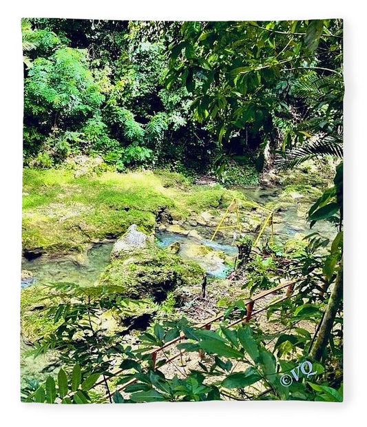 Lush Jungle Stream - Blanket